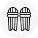 Batting Pads (Leg Guards)