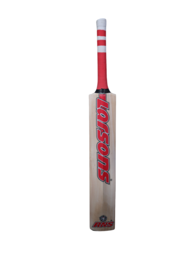 RNS T-20 Kashmir Willow Cricket Bat