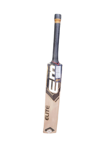 EM GT Elite Selected Kashmir Willow Cricket Bat