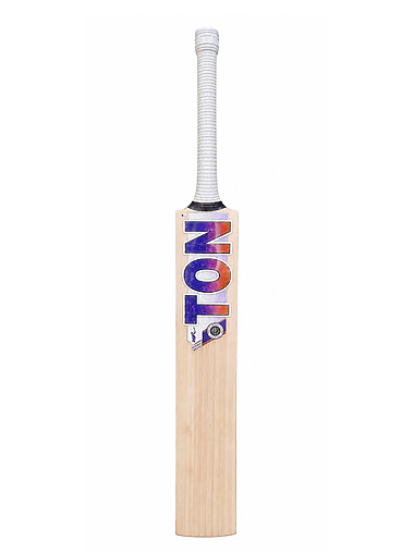 SS Ton Dewald Brevis English Willow Cricket Bat (Player Edition)