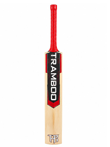 Tramboo Sigma T20 Kashmir Willow Cricket Bat