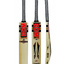 bdm-amazer-cricket-bat-1