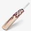 dsc-condor-motion-english-willow-cricket-bat-(1)