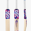 dsc-intense-attitude-cricket-bat-1 dsc-intense-attitude-cricket-bat-1