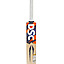 dsc-krunch-9.0-cricket-bat-(2) (1) dsc-krunch-9.0-cricket-bat-(2) (1)