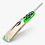 dsc-split-111-cricket-bat-(1)