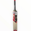 em-fz-06-ew-cricket-bat-1