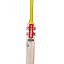gn-delta-kane-williamson-bat-(3)
