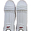 sf-batting-leg-guards-player-1.0