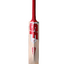 sf-incredible-10000-cricket-bat-2