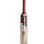 sf-strider-cricket-bat-2