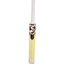 sg-bat-5