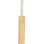 sg-sunny-gold-classic-bat-(4) sg-sunny-gold-classic-bat-(4)