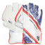 sg-wicket-keeping-gloves-klr-xtreme-1