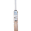 ss-10-pro-1.0-bat-4