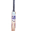ss-classic-cricket-bat-(2)