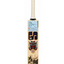 ss-devils-blue-english-willow-cricket-bat(2) ss-devils-blue-english-willow-cricket-bat(2)