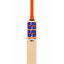 ss-legend-dhoni(6)