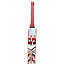 ss-master-50-bat-1 ss-master-50-bat-1