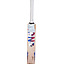 ss-phil-salt-player-bat-1