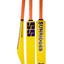 ss-plastic-cricket-bat-1