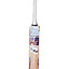 ss-professional-(4)