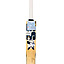 ss-ryan-rickelton-bat-(2) (1) ss-ryan-rickelton-bat-(2) (1)