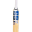 ss-ryan-rickelton-bat-(2) ss-ryan-rickelton-bat-(2)