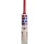 ss-sir-richards-cricket-bat-3