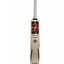 ss-smacker-player-extreme-cricket-bat-3 ss-smacker-player-extreme-cricket-bat-3