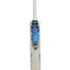 ss-super-select-cricket-bat-2