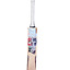 ss-t20-blast-bat-(2)