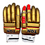 ss-ton-bg-ipl-golden-(4)
