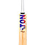 ss-ton-dewald-brevis-pro-bat-(1) (1)
