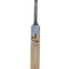 ss-ton-kw-bat-(2)