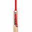 tramboo-limited-edition-kashmir-willow-bat-(5)