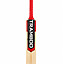 tramboo-sigma-t20-kashmir-willow-bat-(4) tramboo-sigma-t20-kashmir-willow-bat-(4)