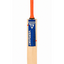 versant-pro-dg-english-willow-cricket-bat(3)